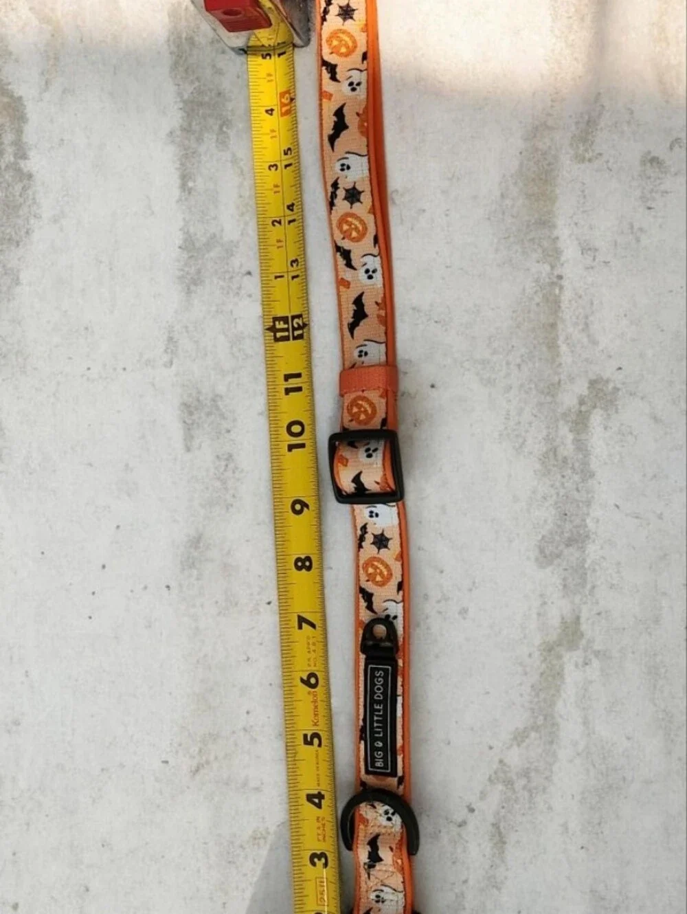 Halloween Pumpkin & Bat Dog Collar - EUC